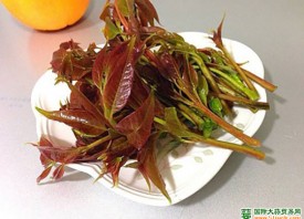 昆明：香椿價(jià)格明顯回落 ()