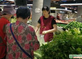 鞍山：蔬菜價格大幅下跌 ()