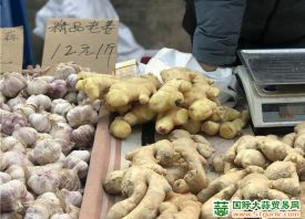 蘭州：綠葉菜、大姜等蔬菜價格大漲 ()