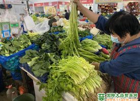 上海青浦：綠葉菜價(jià)格連連下滑 ()