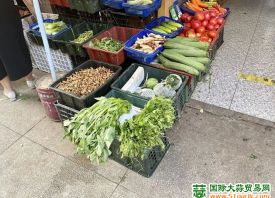 成都：蔬菜價格“喜人” ()