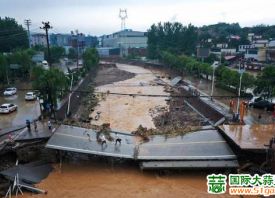 河南突遭強降雨大蒜暫停交易 ()