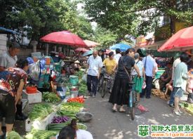 德州市：蔬菜身價升 ()