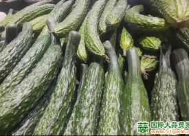 蒜薹：庫存、鮮貨銷售行情冰火兩重天 ()